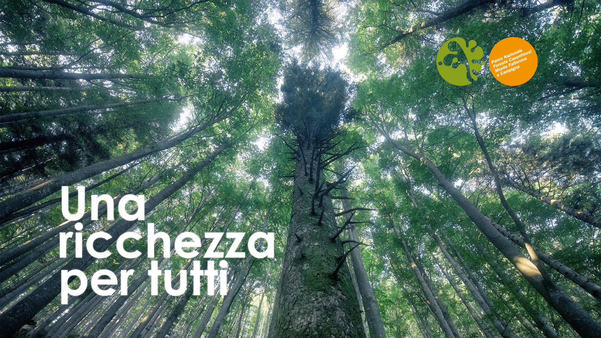 Giornata Internazionale Delle Foreste Parco Nazionale Foreste Casentinesi